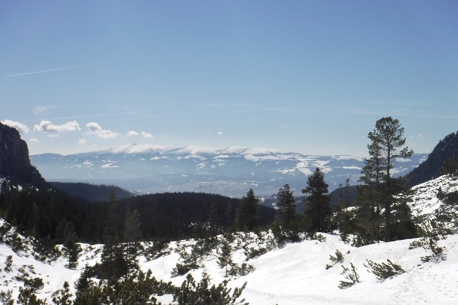 DSCF2274.JPG