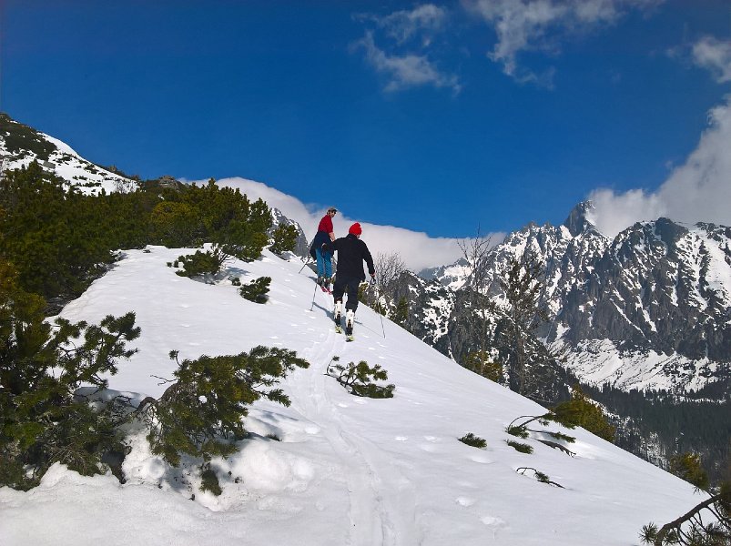 WP_20190324_09_45_35_Pro.jpg